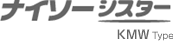二重構造収納庫 ナイソーシスター